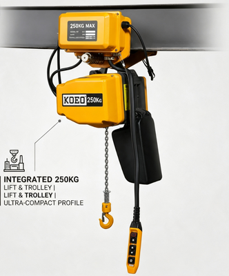 comprar IP55 elevador eléctrico de velocidad variable de 3 fases elevador de cadena pequeña de 250 kg KOEO EQ0.25-01 Fabricación en línea